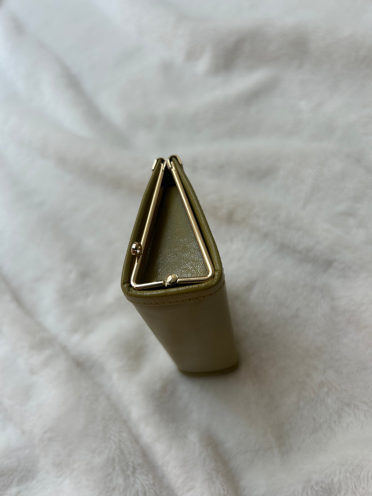 Pierre Balmain Green Coin Purse